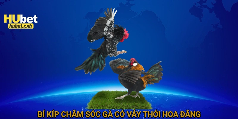 Bí kíp chăm sóc gà có vảy thới hoa đăng
