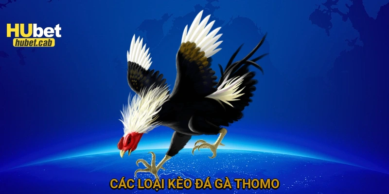 Các loại kèo đá gà Thomo
