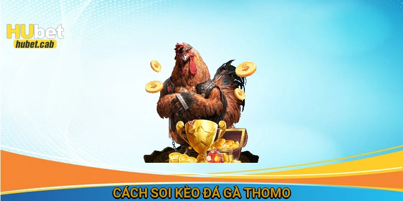 Cách soi kèo đá gà Thomo