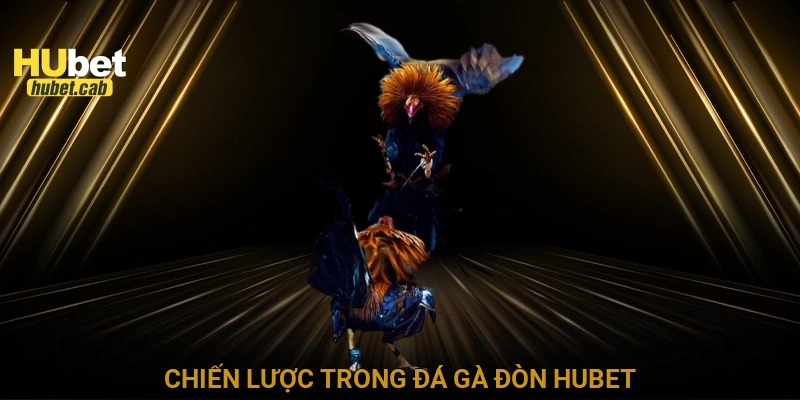 Chiến lược trong đá gà đòn HUBET