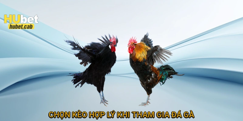 Chọn kèo hợp lý khi tham gia đá gà
