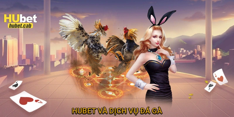 HUBET và dịch vụ đá gà