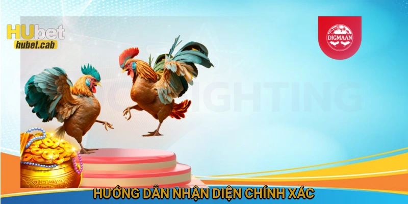 Hướng dẫn nhận diện chính xác
