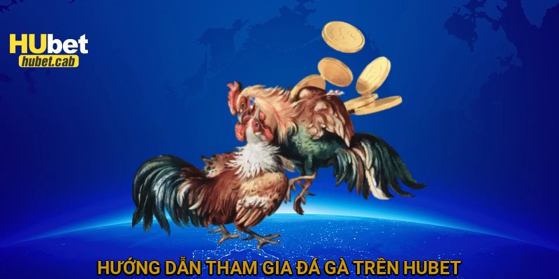 Hướng dẫn tham gia đá gà trên HUBET