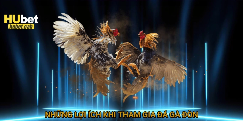 Những lợi ích khi tham gia đá gà đòn