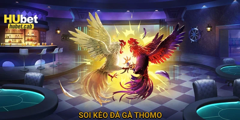 Soi kèo đá gà Thomo