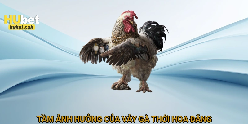 Tầm ảnh hưởng của vảy gà thới hoa đăng