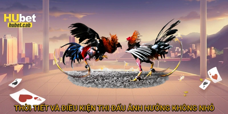 Thời tiết và điều kiện thi đấu ảnh hưởng không nhỏ