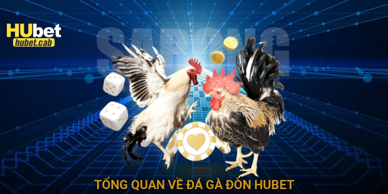 Tổng quan về đá gà đòn HUBET