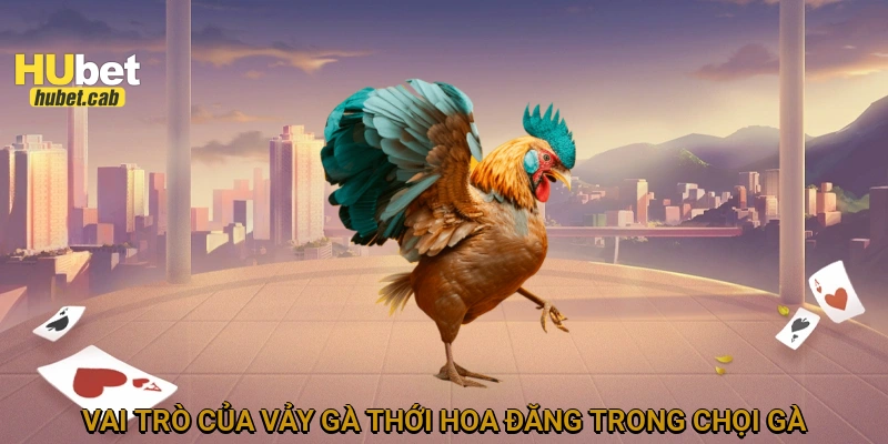 Vai trò của vảy gà thới hoa đăng trong chọi gà